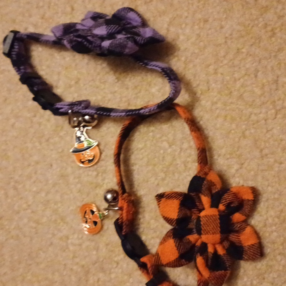 NWT Cat collars